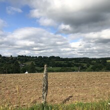 Wilfried Honoré - LA ROUTE DES CHIFFONNIERS (France)