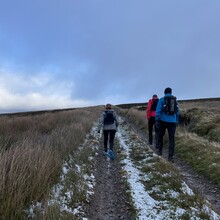 Georgina Lewis - Isaac's Tea Trail (UK)