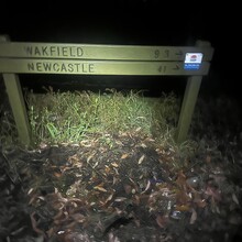 Rachel Van Middeldyk - Great North Walk