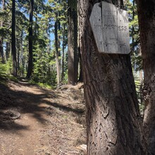 Emily Keddie - Oregon Volcanic Skyline Route