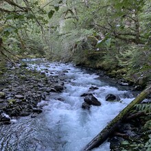 Phyllis  Stanley , Staci Revel - Dosewallips River Trail - East Fork Quinault River Trail (WA)