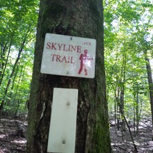 Matt Dibb - Sky to Sky to Sky - Boston