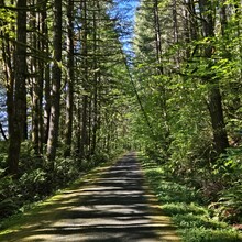 Ray Reynoso - Banks-Vernonia State Trail (OR)