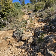 Tanguy Warin - GR51 les balcons de la Méditérannée Menton-Marseille (France)