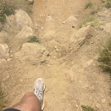 Shane Williams - Art Loeb Trail (NC)