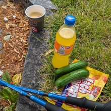 Florian Mayr - ALL-INN