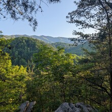 Bob Stewart - Benton MacKaye Trail (GA, TN, NC)