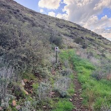 Joshua Locke - Maricopa Loop (AZ)