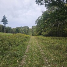 Robert Kinsley - Susquehannock Trail System Loop, Southern Gateway (PA)