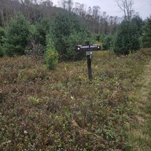 Robert Kinsley - Susquehannock Trail System Loop, Southern Gateway (PA)