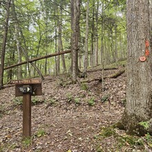 Robert Kinsley - Susquehannock Trail System Loop, Southern Gateway (PA)