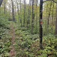 Robert Kinsley - Susquehannock Trail System Loop, Southern Gateway (PA)