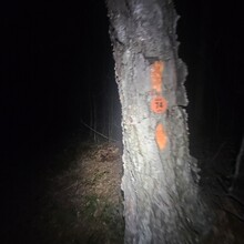 Robert Kinsley - Susquehannock Trail System Loop, Southern Gateway (PA)