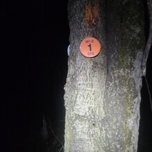 Robert Kinsley - Susquehannock Trail System Loop, Southern Gateway (PA)