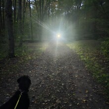 Robert Kinsley - Susquehannock Trail System Loop, Southern Gateway (PA)