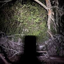 Quinton Gill - Scenic Rim Traverse