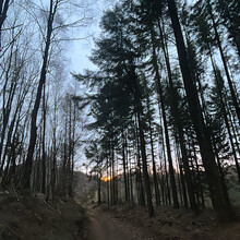 Mark Taylor - Hermannslauf Winter Double - Out and Back