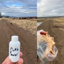 Aaron Tucker - OC&E Rail Trail (OR)