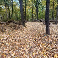 Edie Ready - Cushetunk trail - around Round Valley Reservoir (NJ)