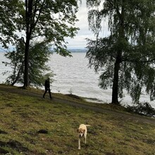 Joanna Neuberg - Lake Washington Loop (WA)