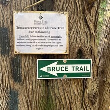 Jamieson Hatt - Bruce Trail (ON, Canada)