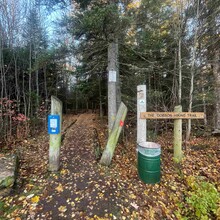 Brandon McCluskey - Dobson Trail (2025)