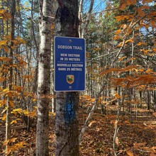 Brandon McCluskey - Dobson Trail (2025)