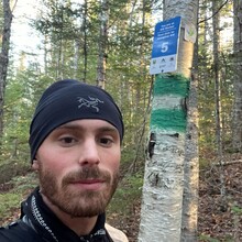 Brandon McCluskey - Dobson Trail (2025)