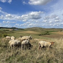 Paula Meißler - Ries-Panoramaweg