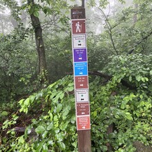 Sarah Baker - Appalachian Trail (AT)