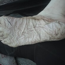 Sarah Baker - Appalachian Trail (AT)