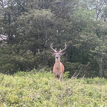 Sarah Baker - Appalachian Trail (AT)