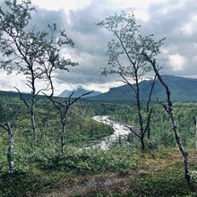 Viktor Wallström - Padjelantaleden