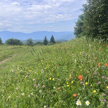 Sarah Baker - Appalachian Trail (AT)