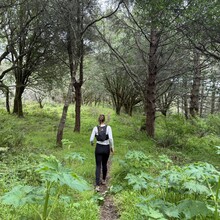 Rachael Sage, Kathryn Dzuricky - Bolinas or Bust (CA)