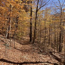 Matthew Matta - Catskills Fire Towers (NY)