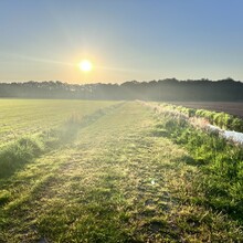 Christine Peij - Roots Natuurpad (Netherlands)