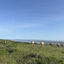 Rachael Sage, Kathryn Dzuricky - Bolinas or Bust (CA)