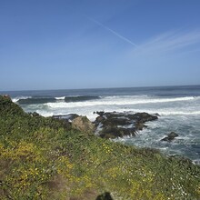 Rachael Sage, Kathryn Dzuricky - Bolinas or Bust (CA)