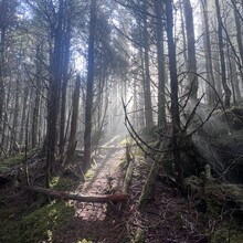 Sarah Baker - Appalachian Trail (AT)