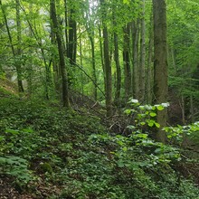Robert Stein - Gebürg Trail (Germany)