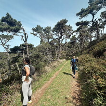 Rachael Sage, Kathryn Dzuricky - Bolinas or Bust (CA)