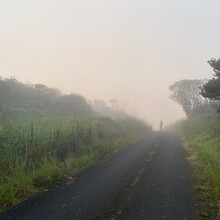 Dylan Cotton, Rozie Breslin, Nandor Szotak - Wai'anae Summit Trail (HI)