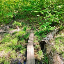 Stephen Sensoli - High Country Pathway (MI)