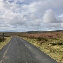 Alice Baird - The Herring Road (United Kingdom)