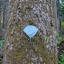 Christof Teuscher - Mt Adams to Mt Hood (WA, OR)