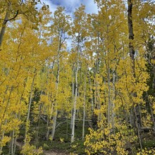 Lauren Puretz - Lost Creek Wilderness Loops (CO)