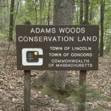 Ja-Nae Duane - Mt. Misery via Fairhaven Trail