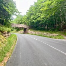 Whitney Richman - Acadia National Park Loop Road (ME)