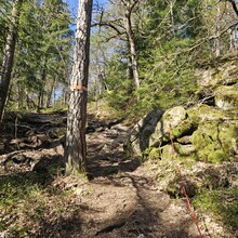 Rasmus Karlsson - Gotaleden (Sweden)